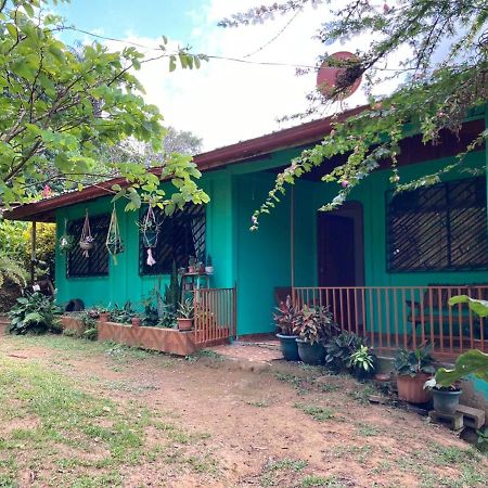 Betania House Apartment Drakes Bay Екстериор снимка