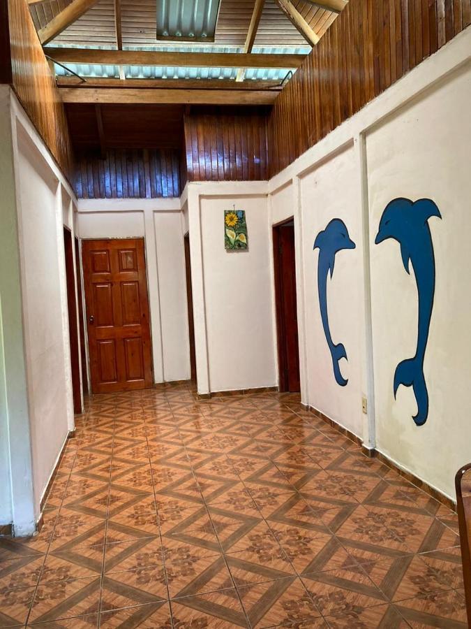Betania House Apartment Drakes Bay Екстериор снимка