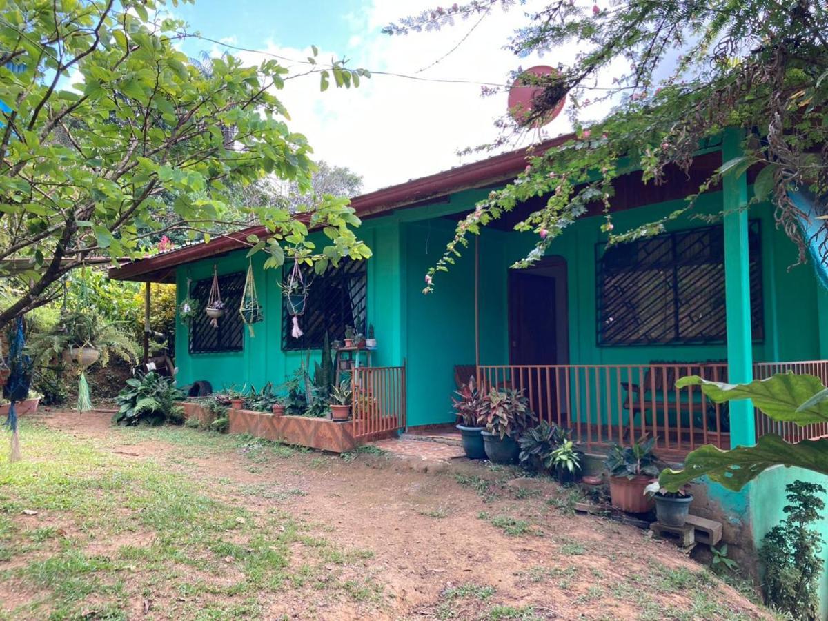 Betania House Apartment Drakes Bay Екстериор снимка